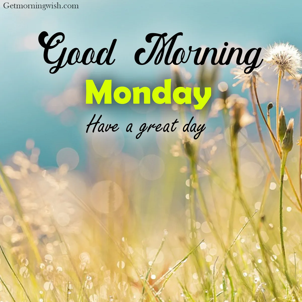 Good Morning Monday Images HD