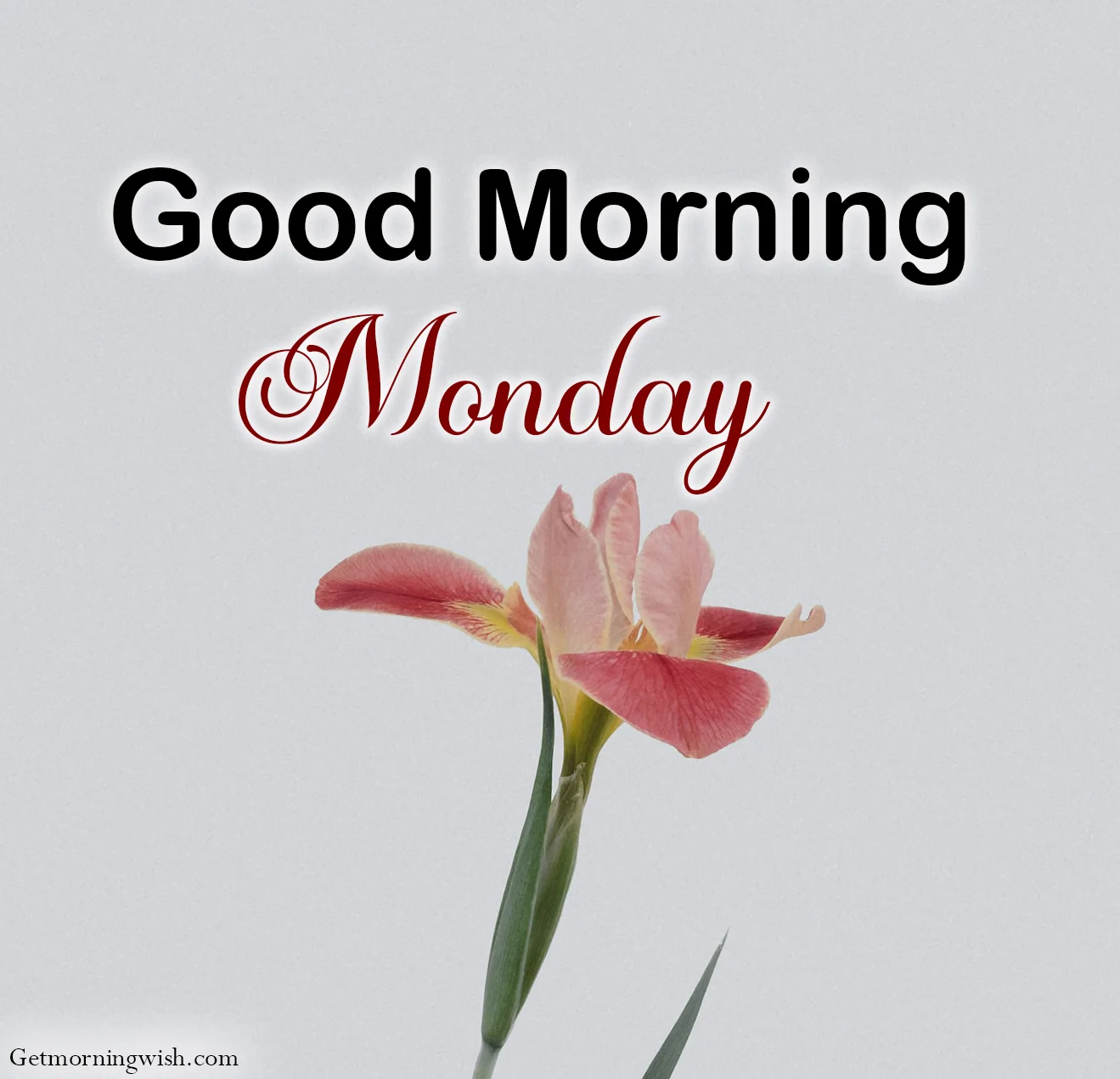 Good Morning Monday Pic HD