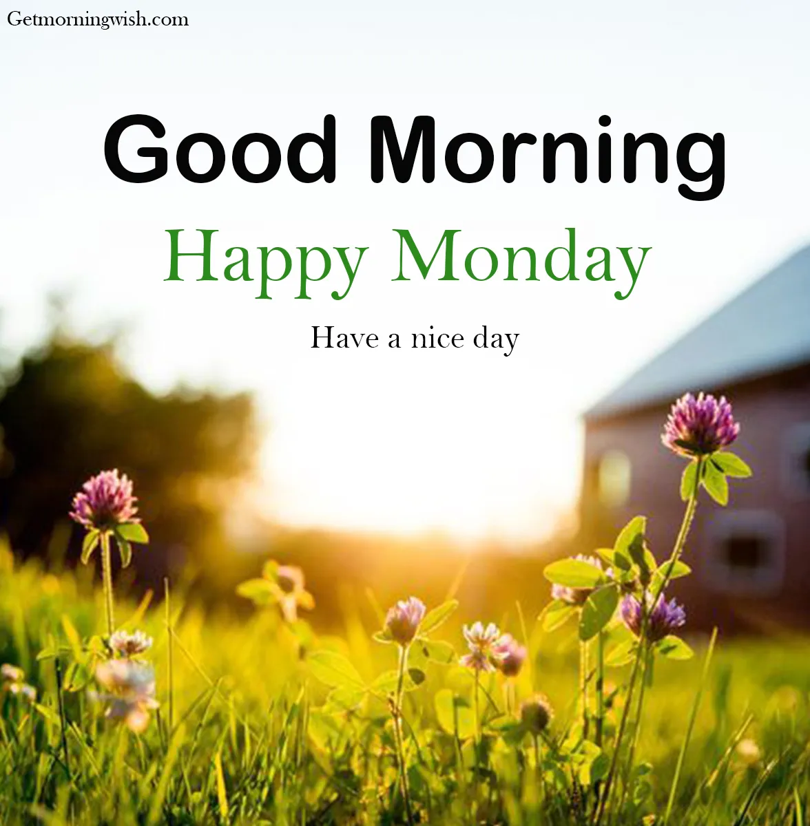 Good Morning Monday Pictures