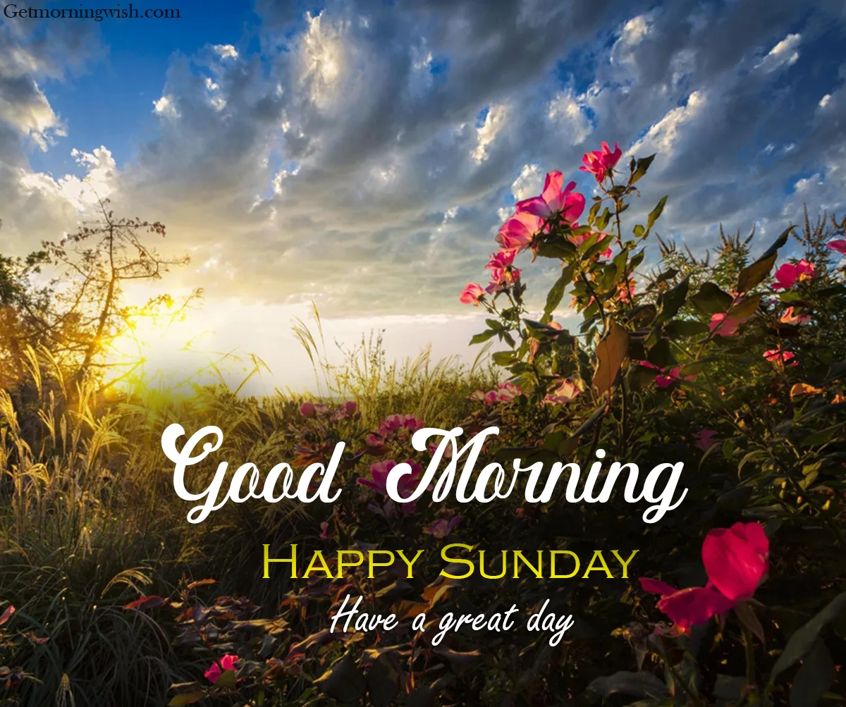 Good Morning Sunday HD Pictures