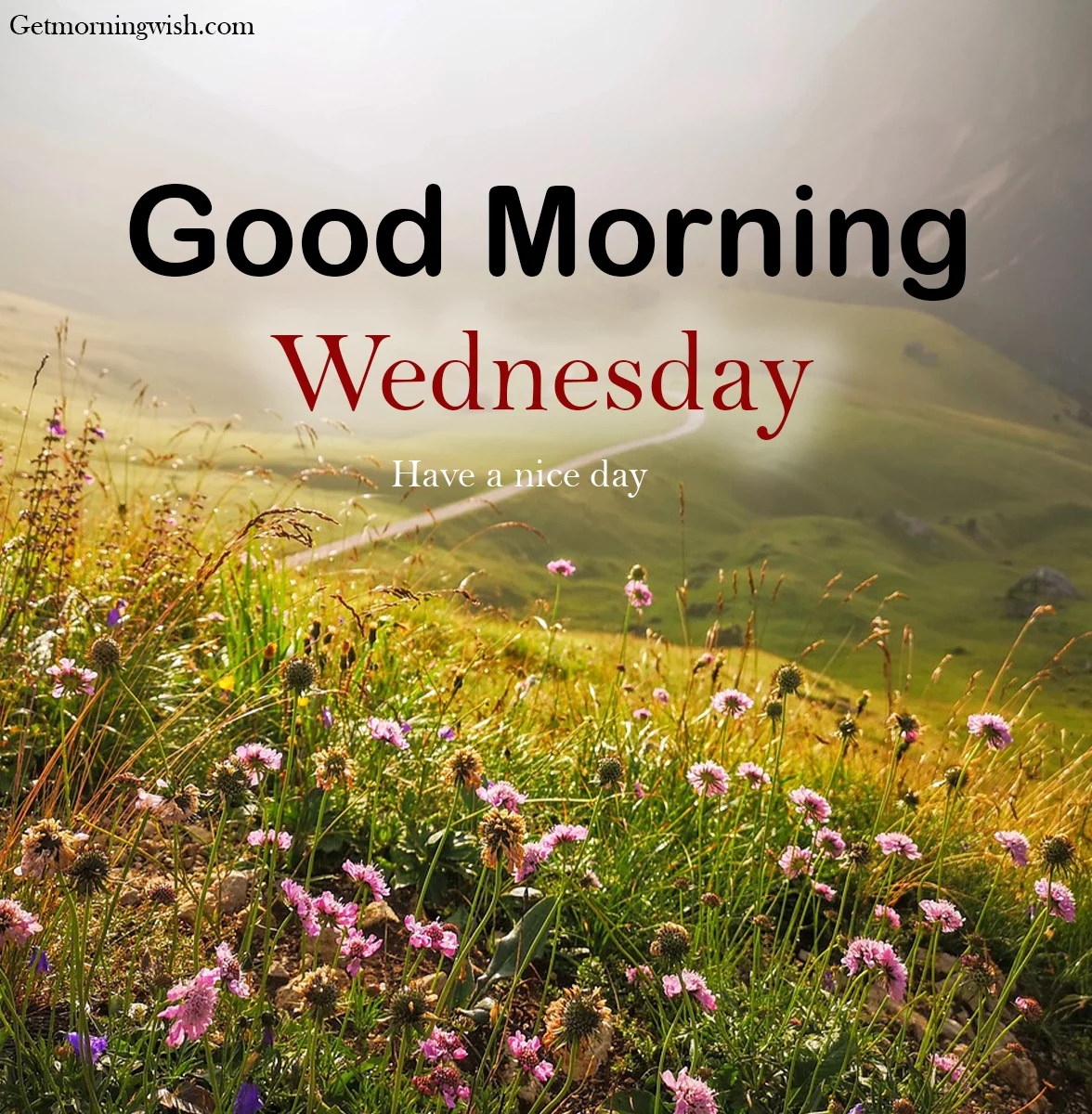 Good Morning Wednesday