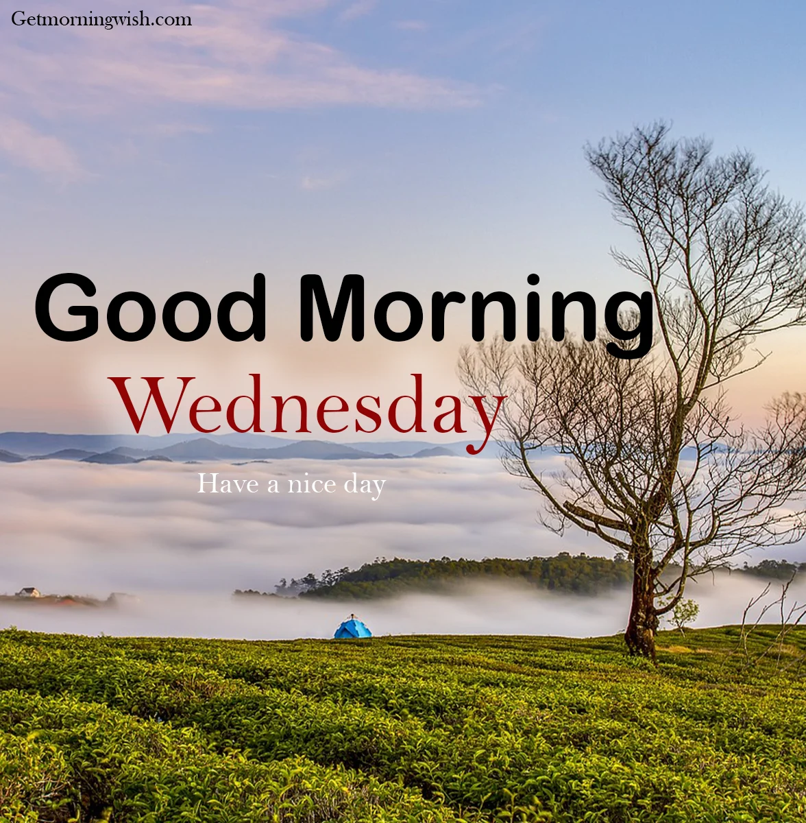 Good Morning Wednesday Photos