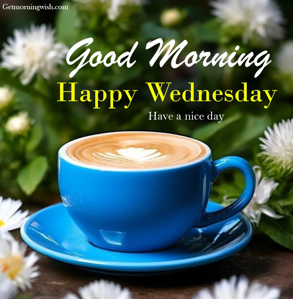 Good Morning Wednesday Pic