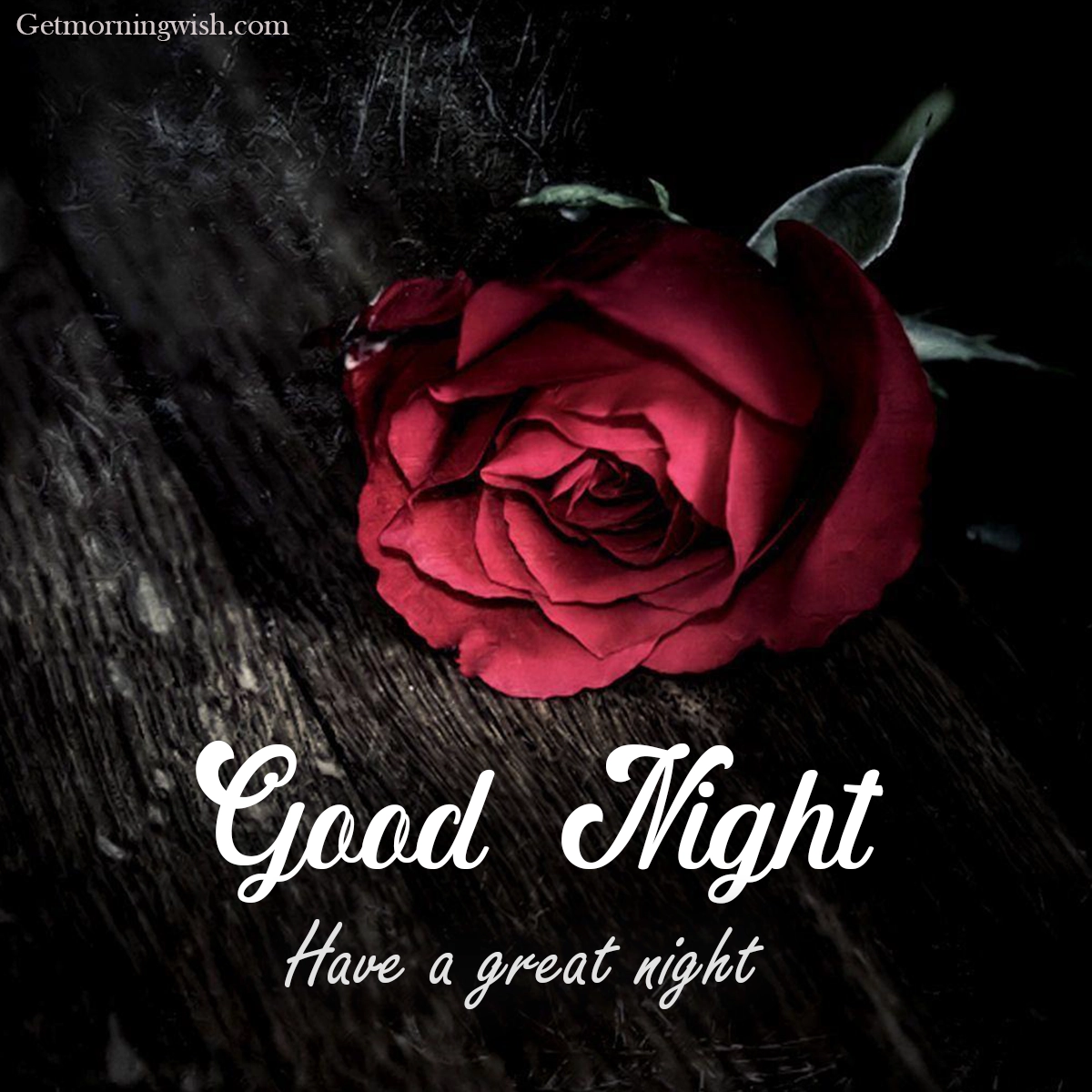 Good Night Flower HD Image