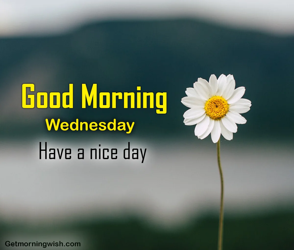 Happy Good Morning Wednesday Images