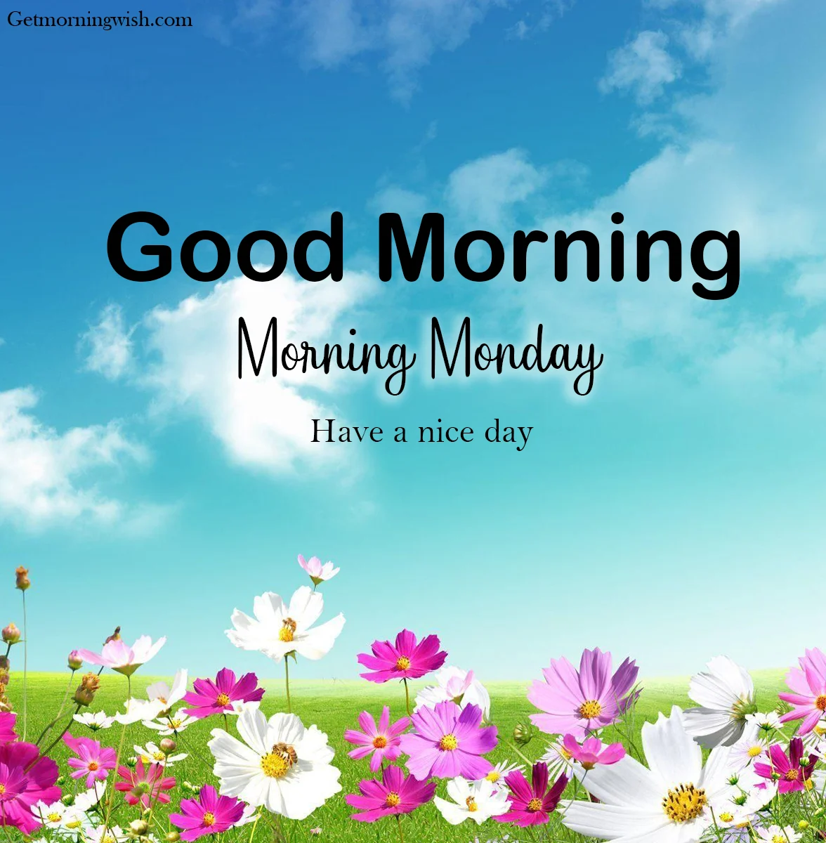 Morning Morning Images HD