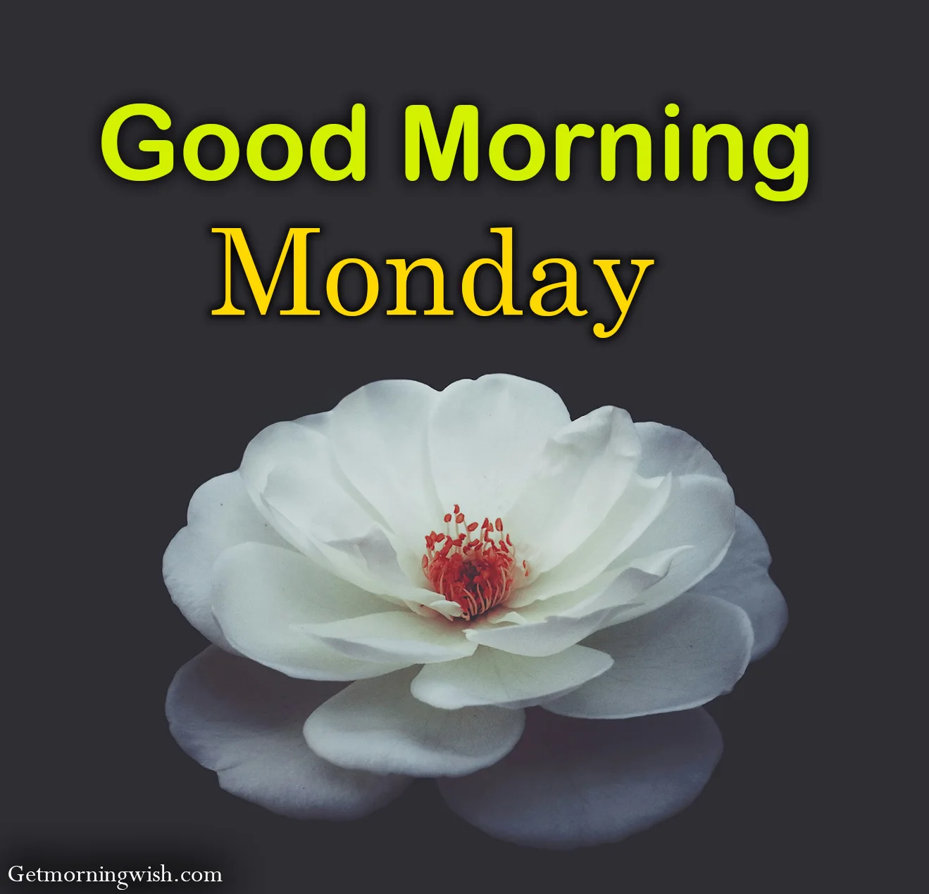 New Good Morning Monday Photo HD