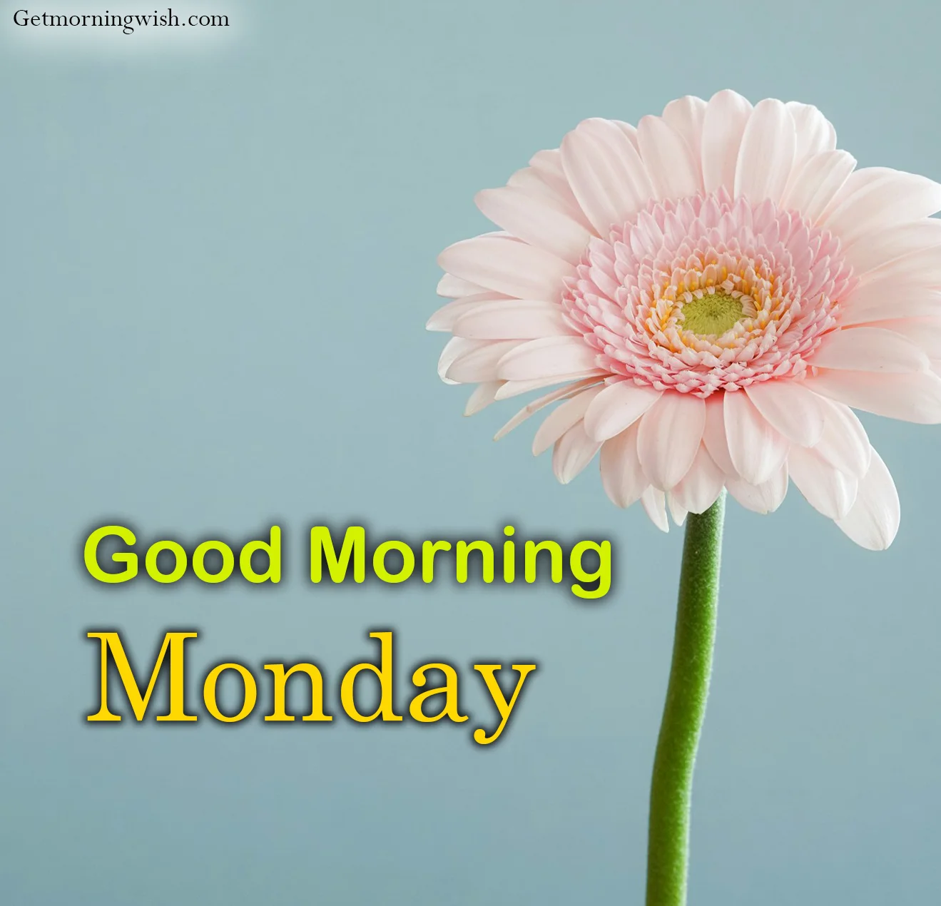 New Good Morning Monday Pictures