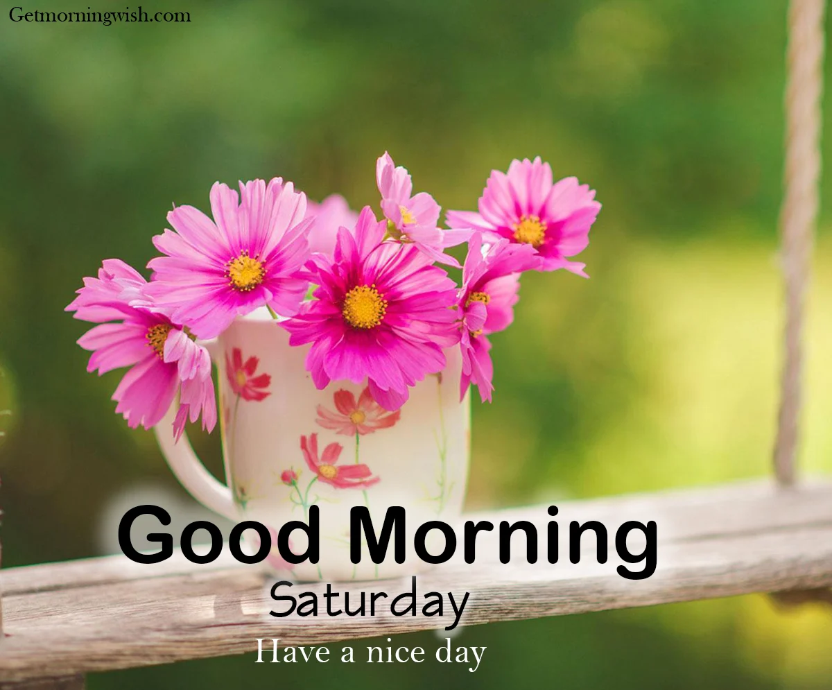 Saturday Good Morning Pic HD