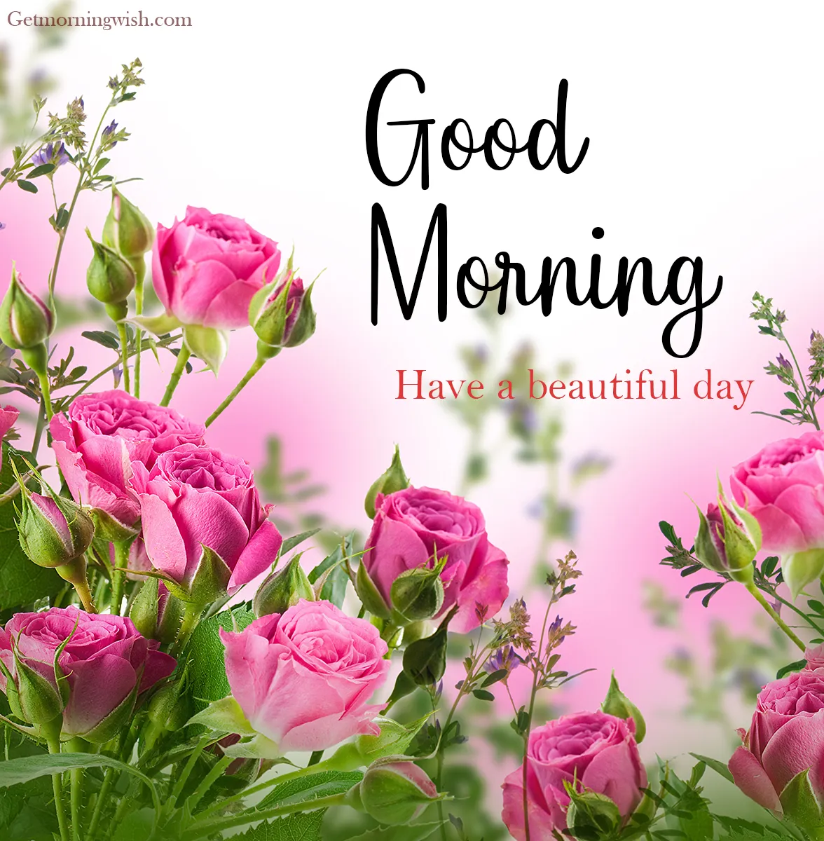 Beautiful Good Morning Image HD