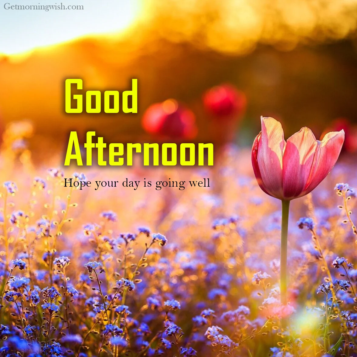 Good Afternoon Images 2025