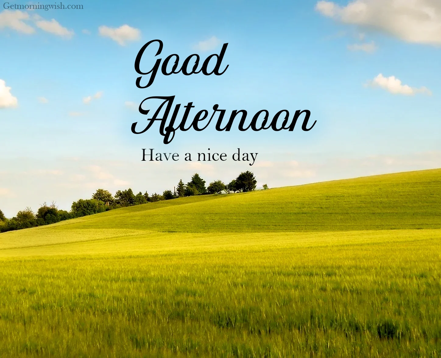 Good Afternoon Images HD 2025