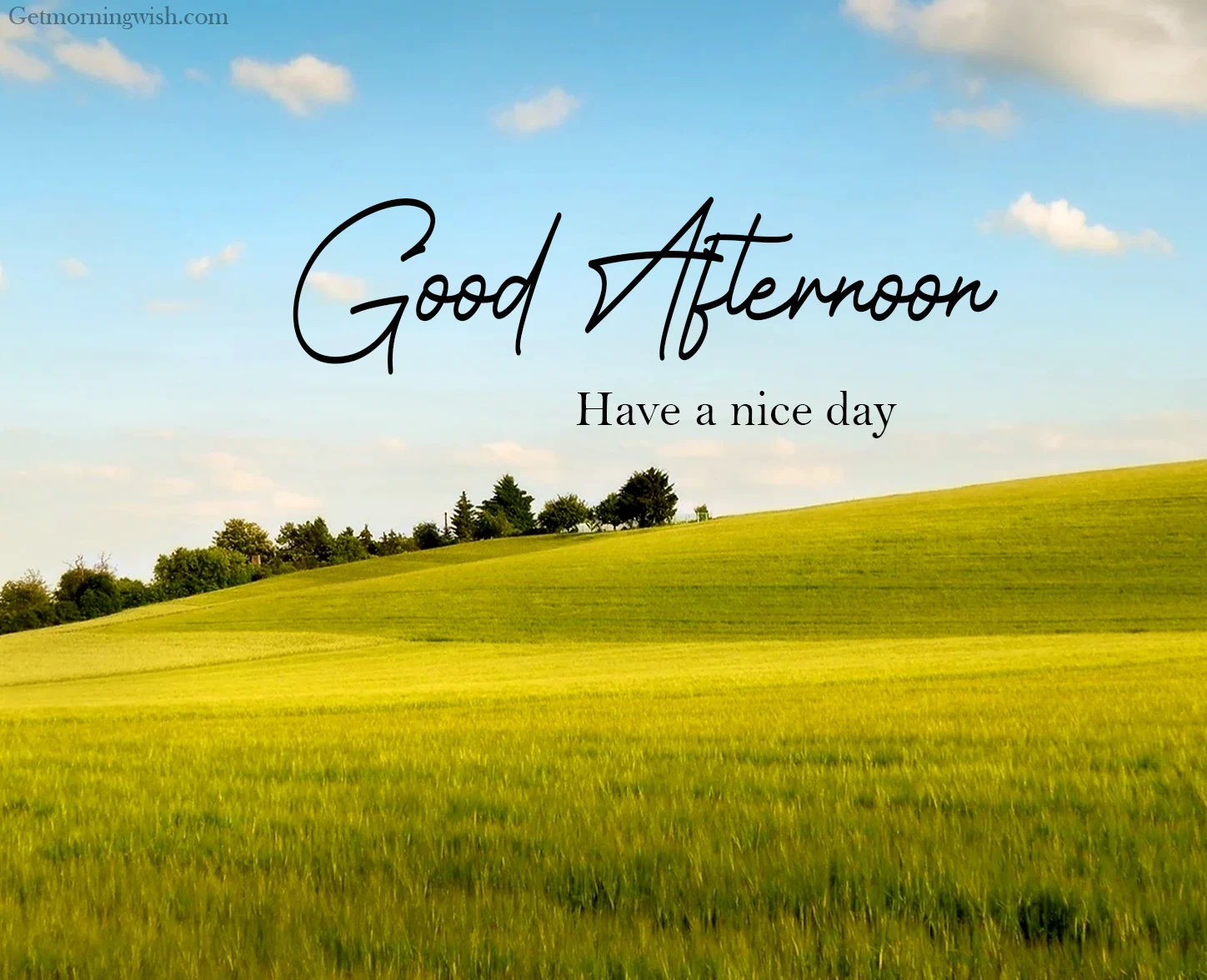 Good Afternoon Images HD