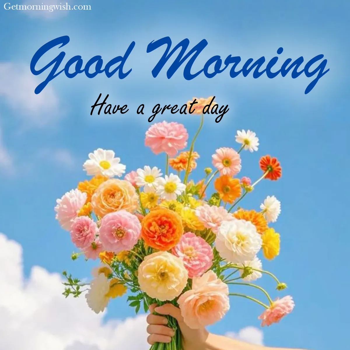 Good Morning Flower New Picture HD