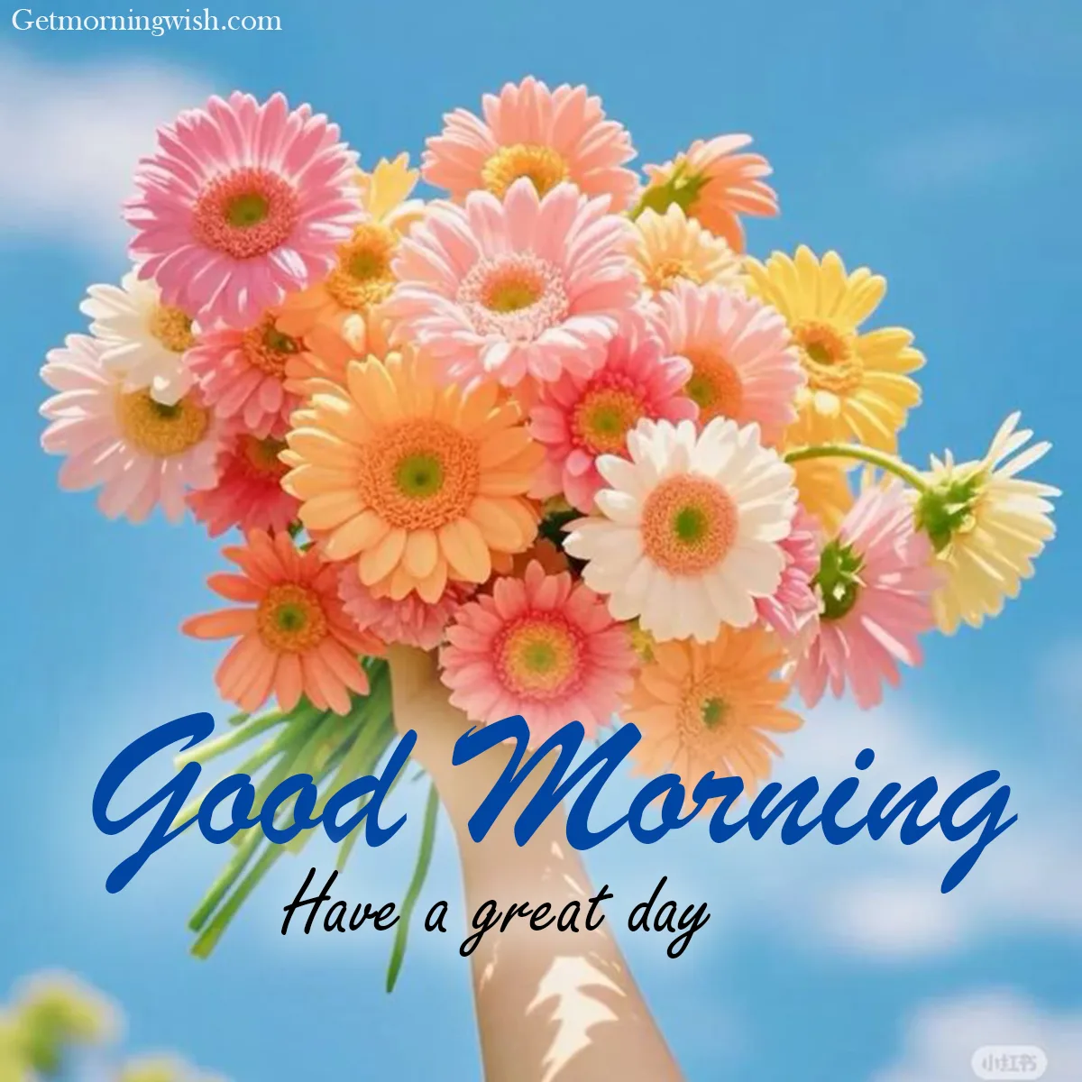 Good Morning Flower New Pictures