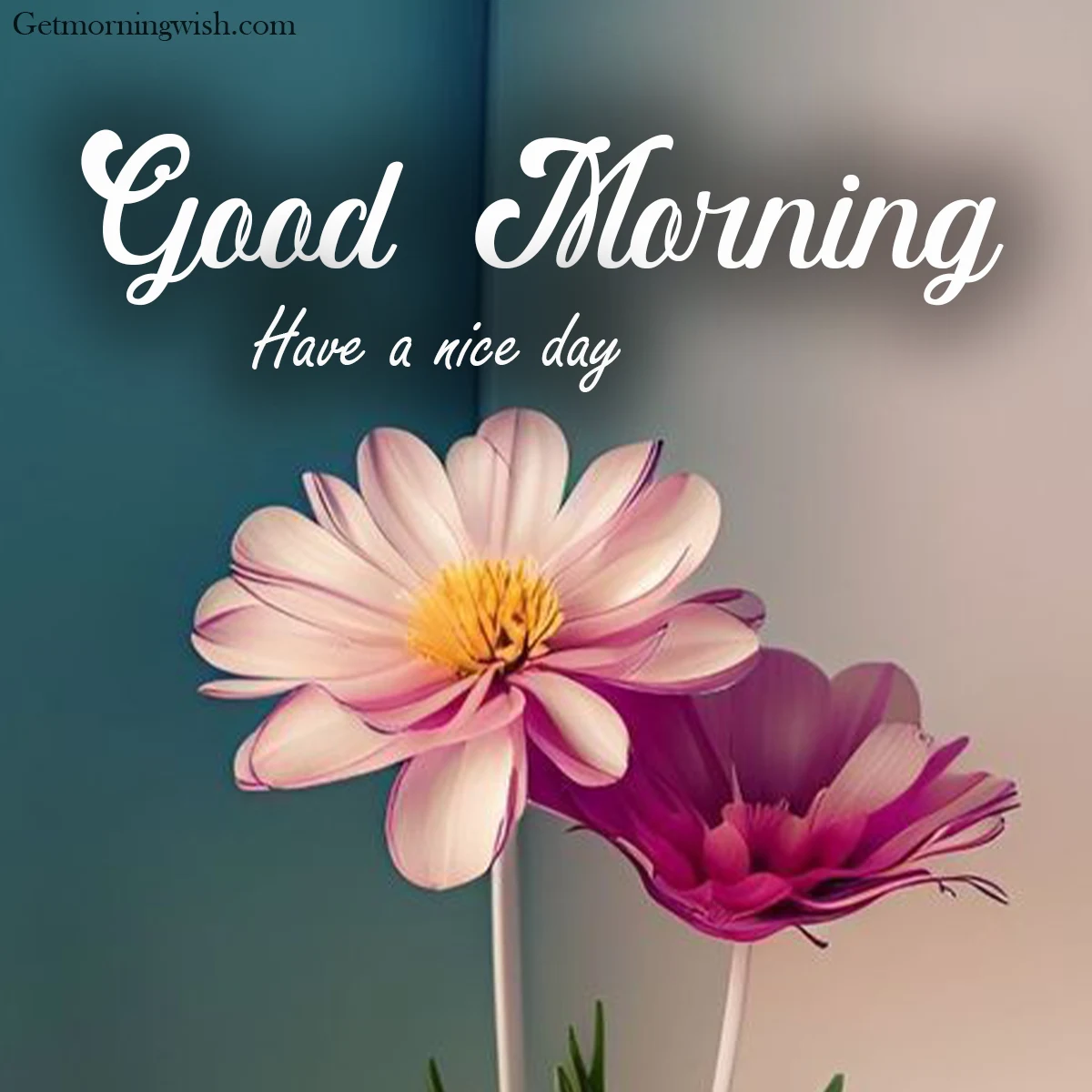 Good Morning HD Images