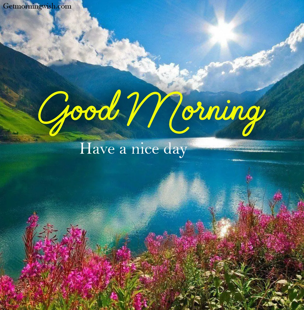 Good Morning Nature Images HD