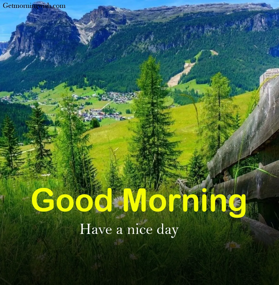 Good Morning Nature Images