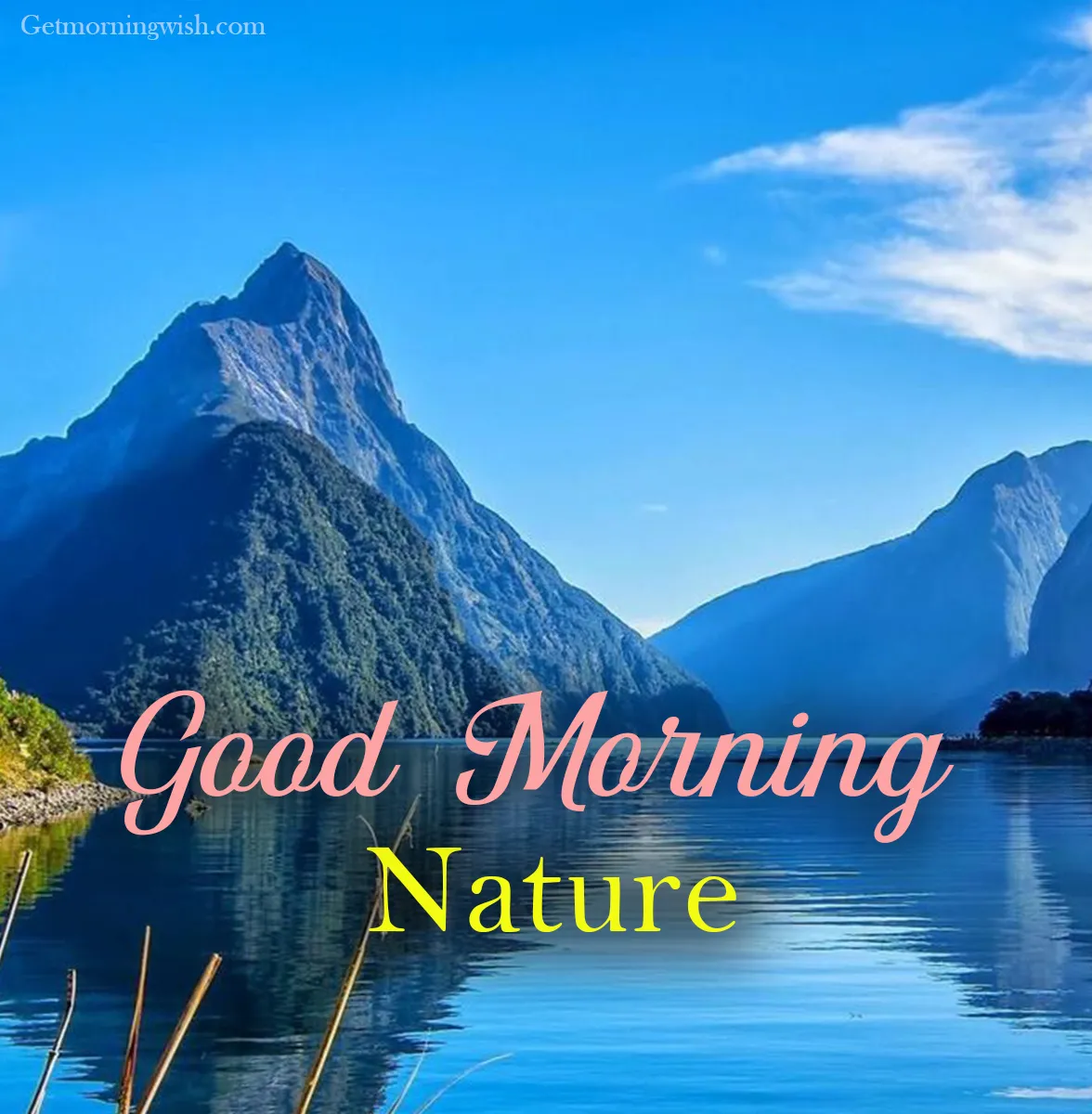 Good Morning Nature Pic HD