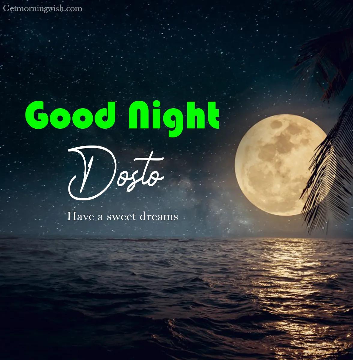 Good Night Doston Photo