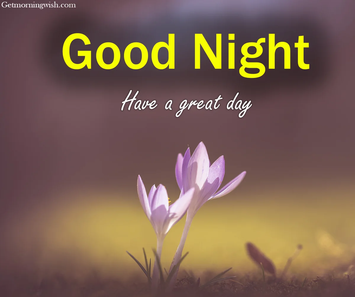 Good Night Images HD