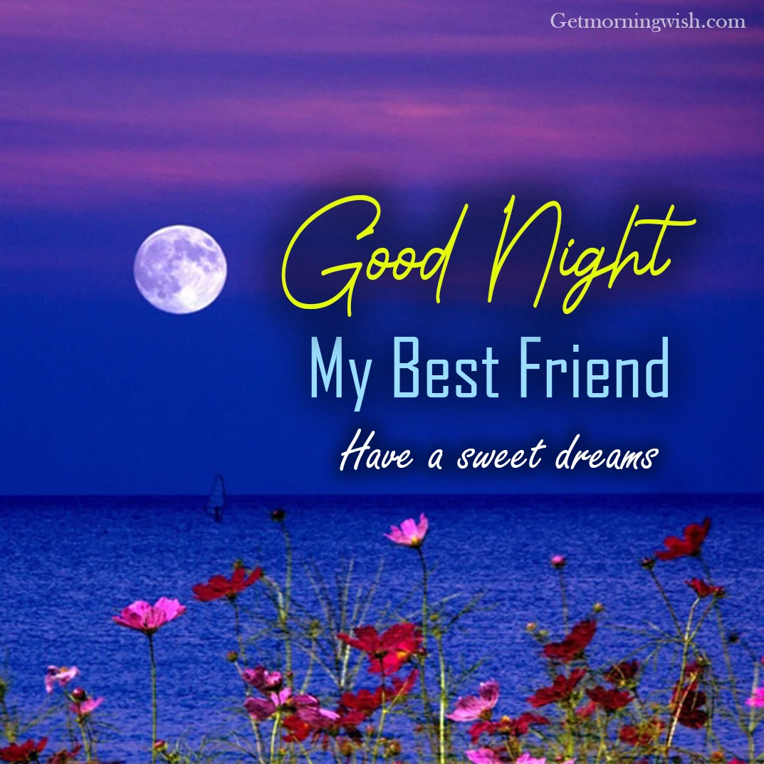 Good Night My Best Friends