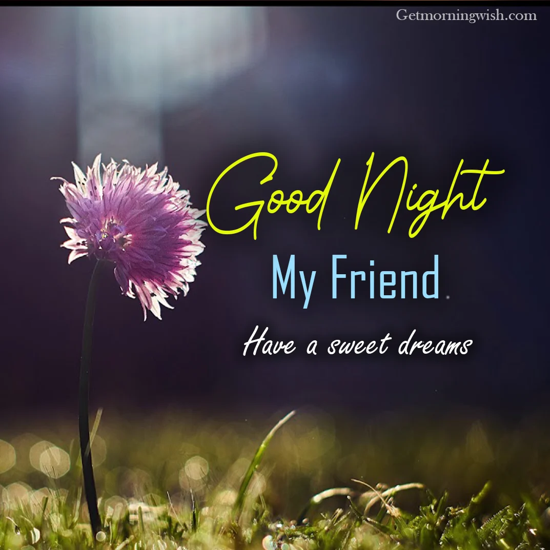 Good Night My Friends