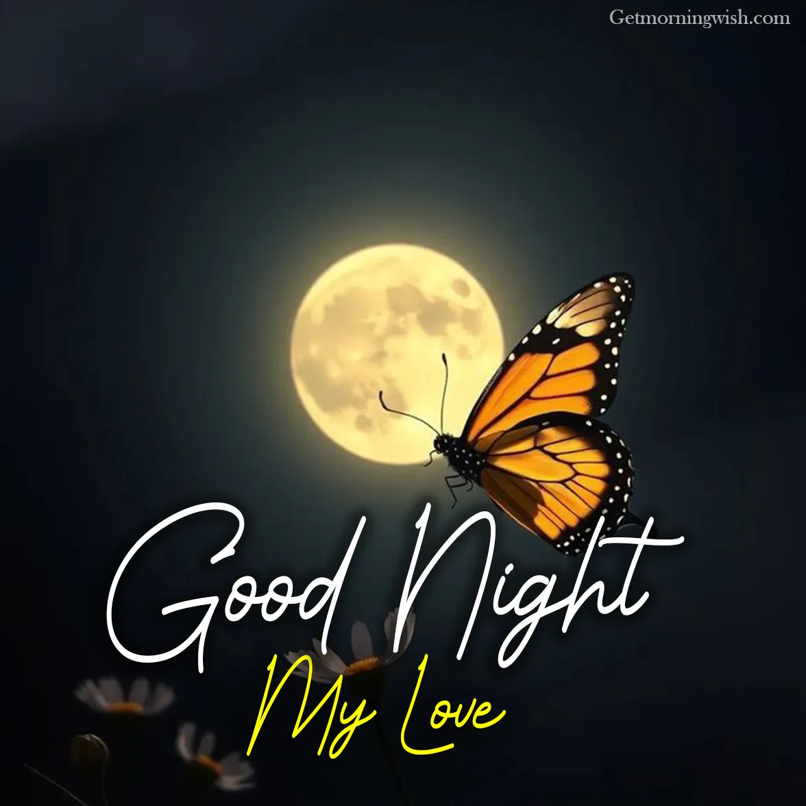 Good Night My Love Images HD