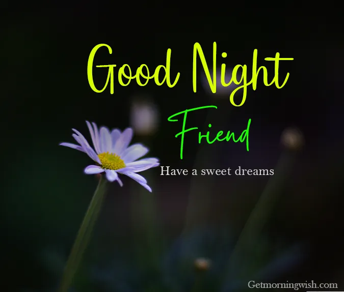 Good Night Photo Friends