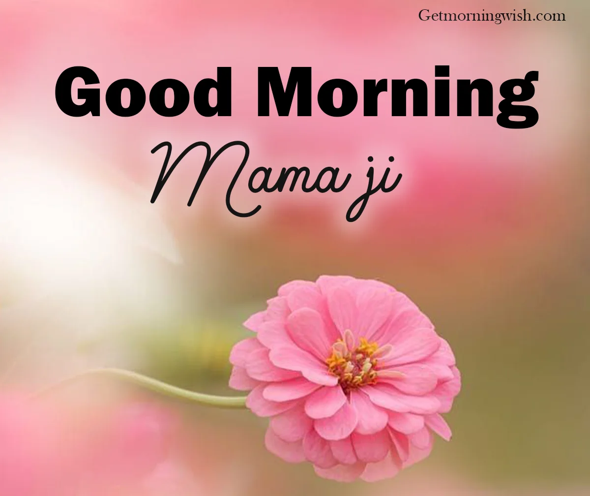 HD Good Morning Mama Ji