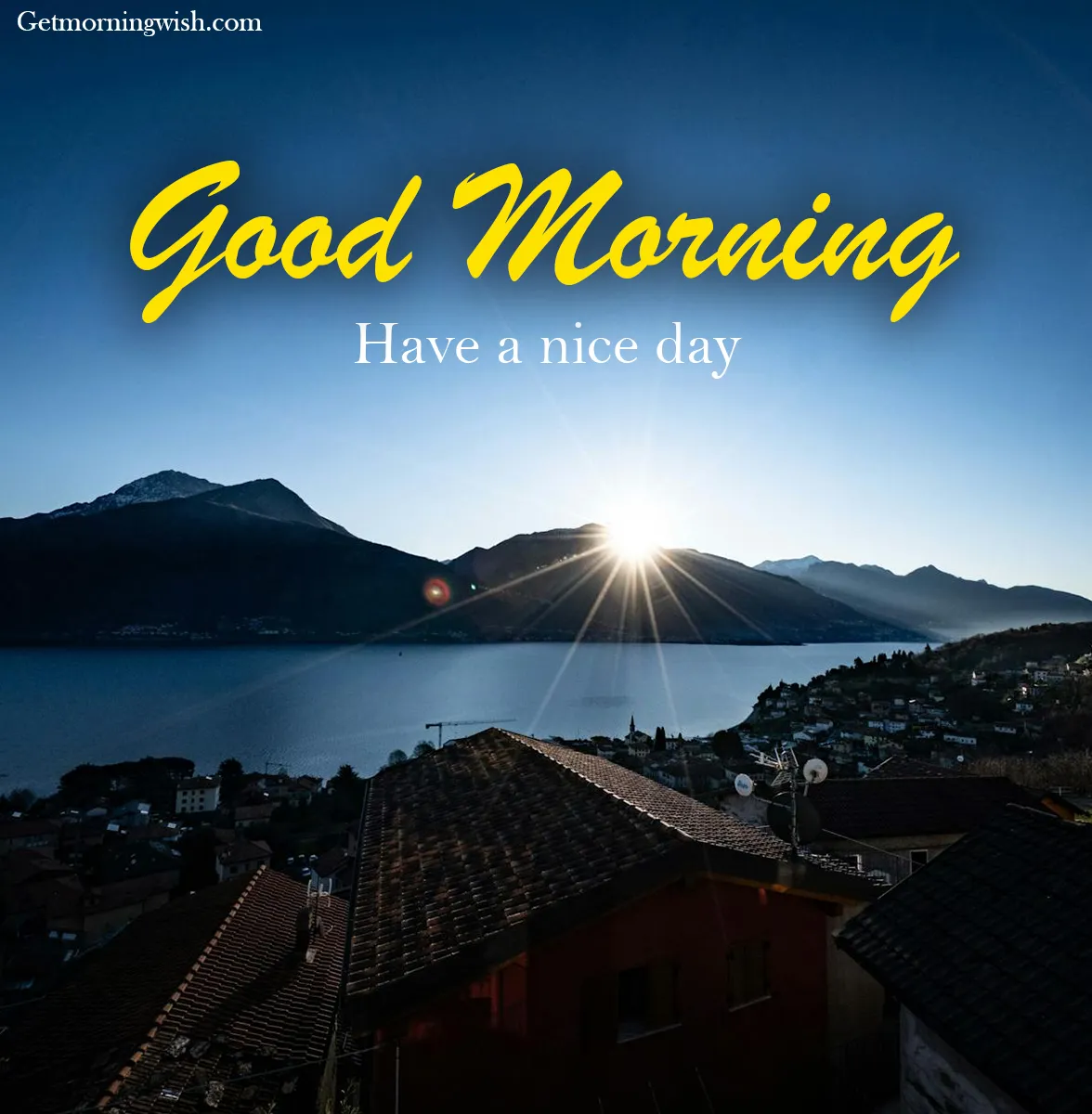 New Good Morning Nature Images 2025