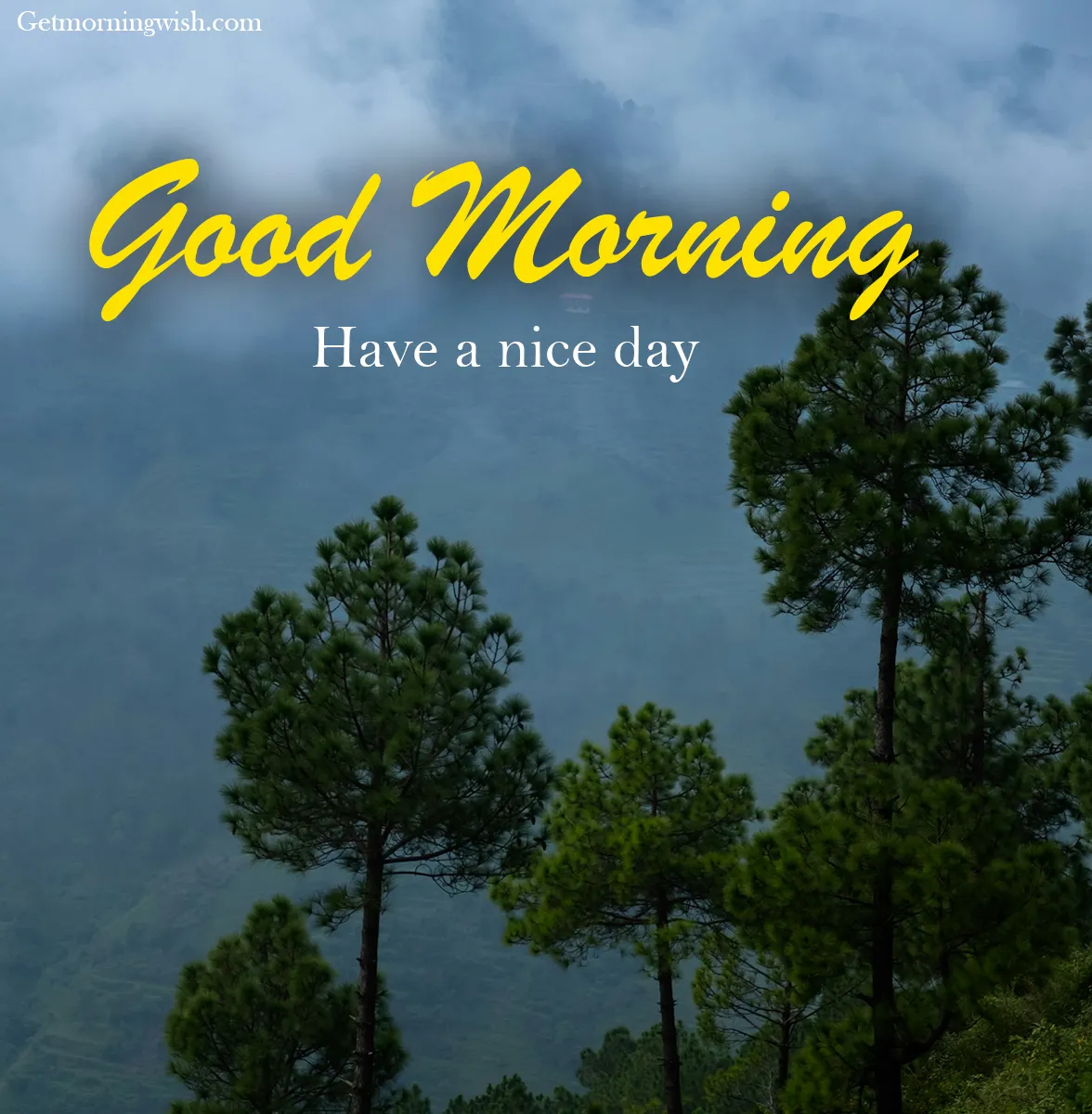 New Good Morning Nature Images HD