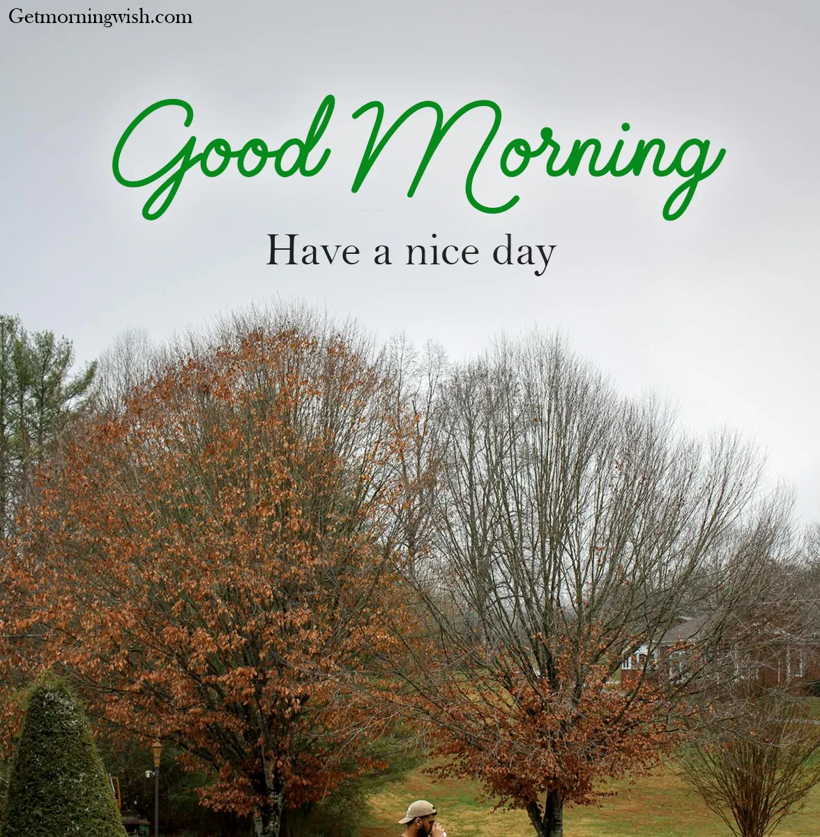 New Good Morning Nature Pic HD