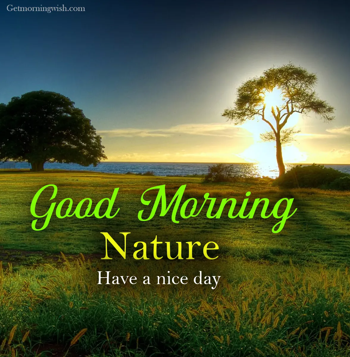 New Good Morning Nature Pic