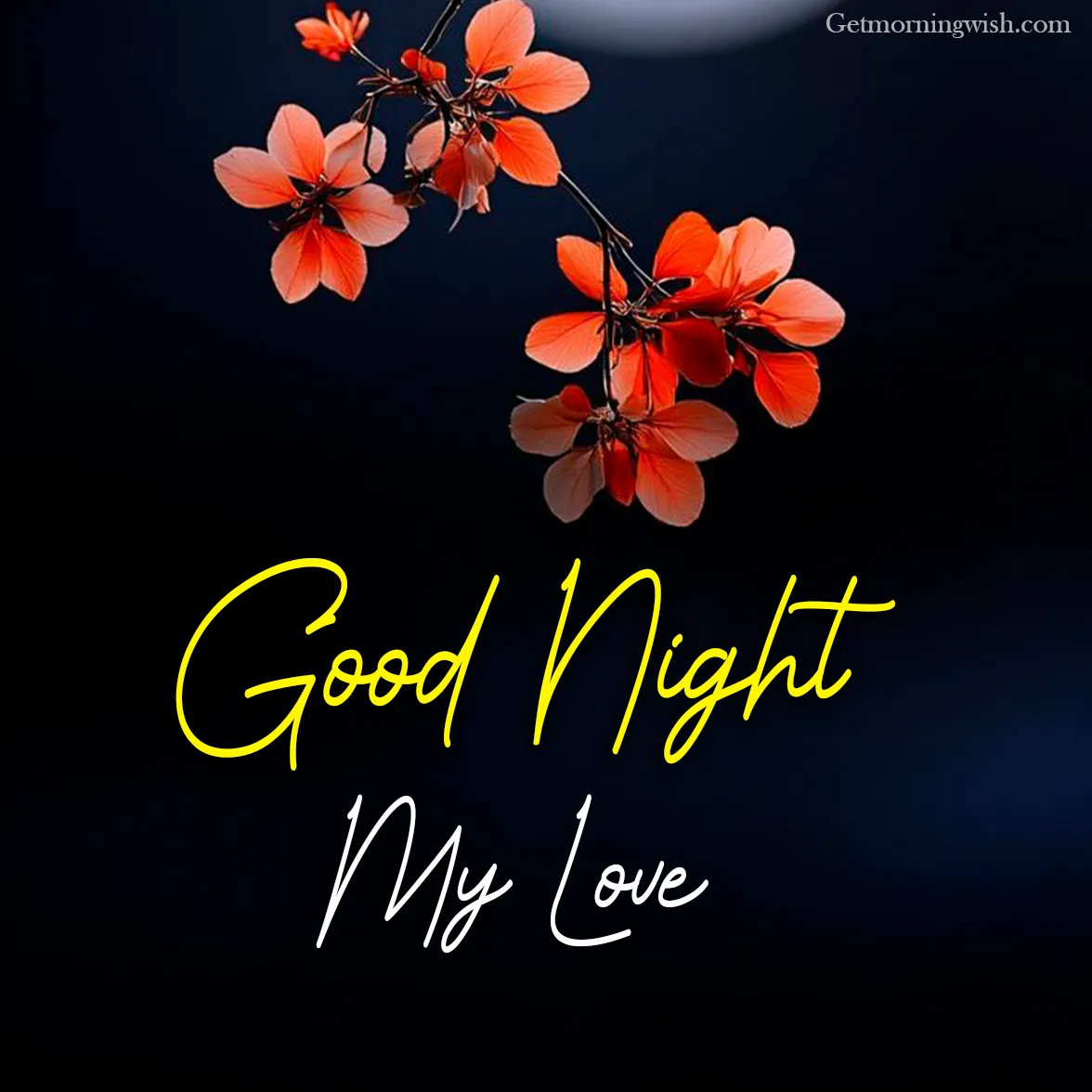 New Good Night My Love Images HD 2025